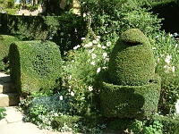 Topiary Hidcote